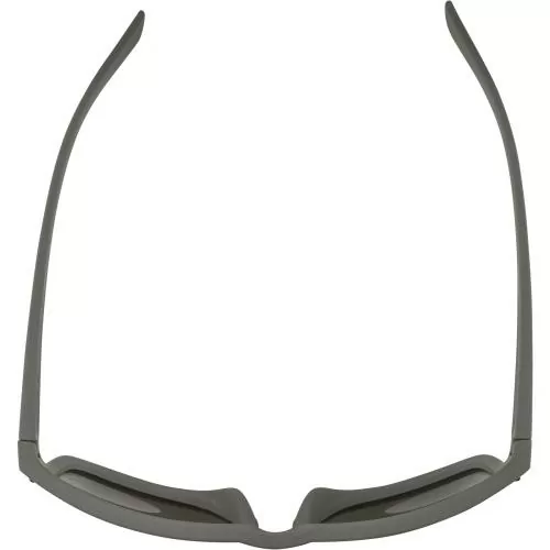 Alpina KOSMIC Sonnenbrillen - moon-grey matt, blue mirror