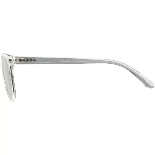 Alpina Yefe Sonnenbrille - transparent, green cat. 3