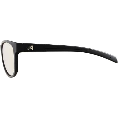 Preview: Alpina Nacan Ii Sonnenbrille - black matt