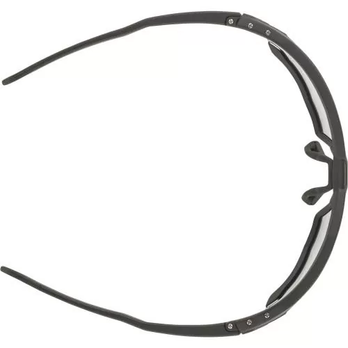 Alpina Twist Six V Sunglasses - black matt