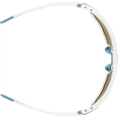 Alpina Twist Six Q Sunglasses - white matt