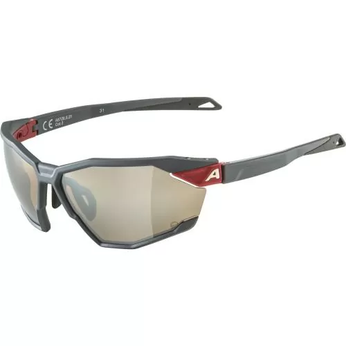 Alpina Twist Six Q Sonnenbrille - midnight-grey matt