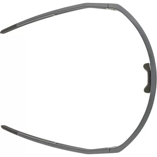 Alpina Sonic Hr Q-Lite Sonnenbrille - midnight-grey matt, green cat. 2
