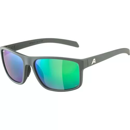 Alpina Nacan I Pol Sonnenbrille - midnight-grey matt