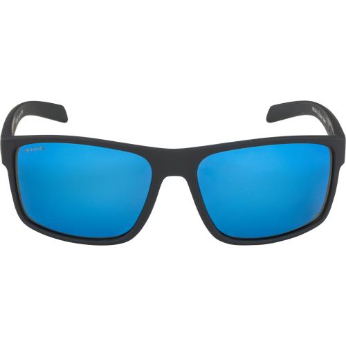 Preview: Alpina Nacan I Pol Sonnenbrille - black matt