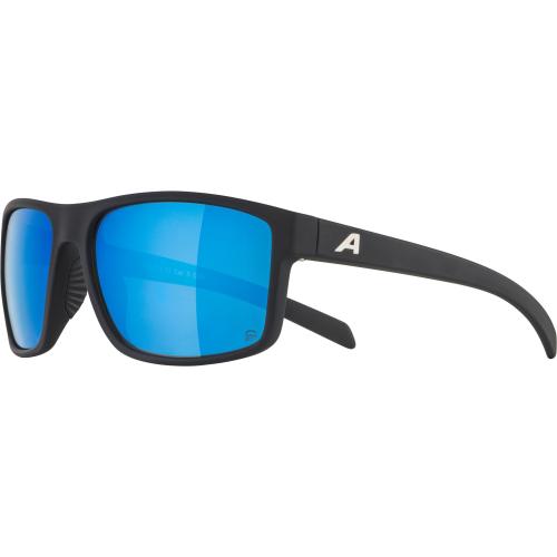 Preview: Alpina Nacan I Pol Sonnenbrille - black matt