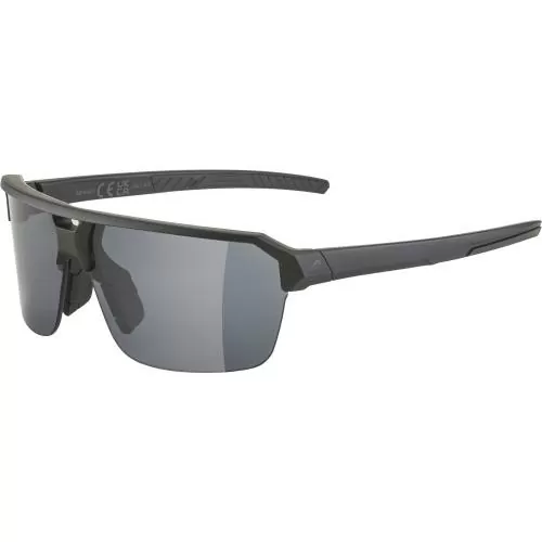 Alpina Swift Hr Sonnenbrille - black matt, black cat. 3