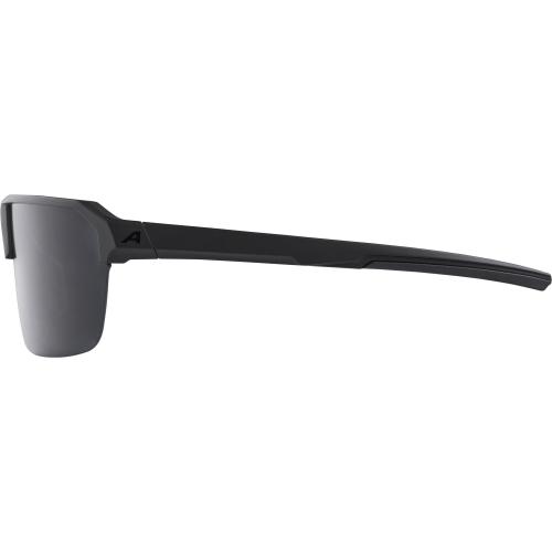 Preview: Alpina Swift Hr Sonnenbrille - black matt, black cat. 3