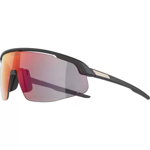 Alpina Turbo Pro Qv Sunglasses - black matt, qv rainbow cat. 1-3