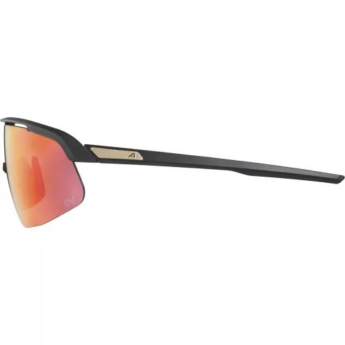 Alpina Turbo Pro S Qv Sonnenbrille - black matt, qv rainbow cat.1-3