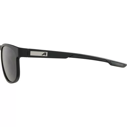 Alpina Rift Sunglasses - black matt, black cat. 3