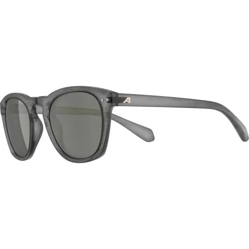 Alpina Sunbeam Sunglasses - grey transparent, green cat.3