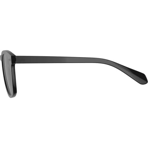 Alpina Sunbeam Sunglasses - black glossy, black cat. 3
