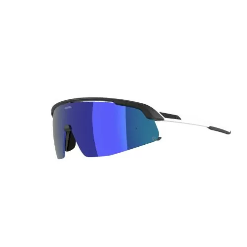 Alpina Turbo Pro Q Sonnenbrille - black-white mat
