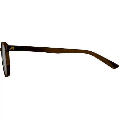 Alpina Dimont Sports Glasses - brown transparent, black cat.3
