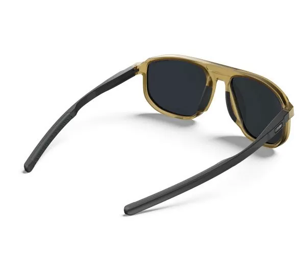 Julbo Sun Glasses Ward - light brown / black, smoky grey