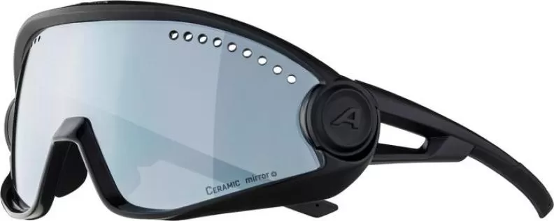 Alpina 5W1NG Sonnenbrille - all black matt, black mirror
