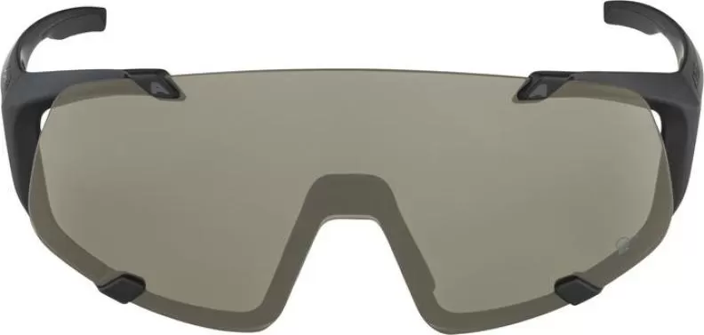 Alpina HAWKEYE Q-LITE Eyewear - black matt, silver mirror