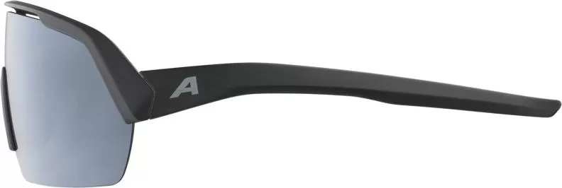 Alpina Turbo HR Sonnenbrille - Black Matt, Black Mirror