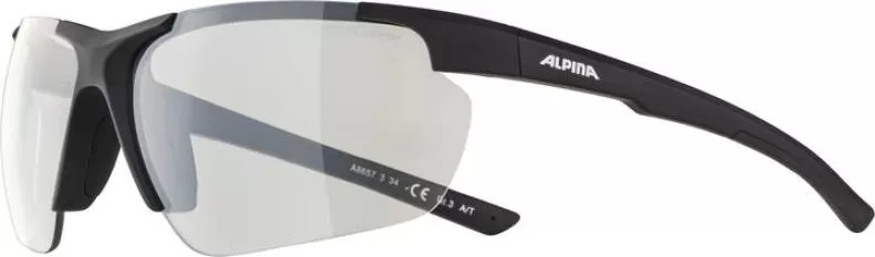 Alpina DEFEY HR Eyewear - Brown Transparent Matt Mirror Gold