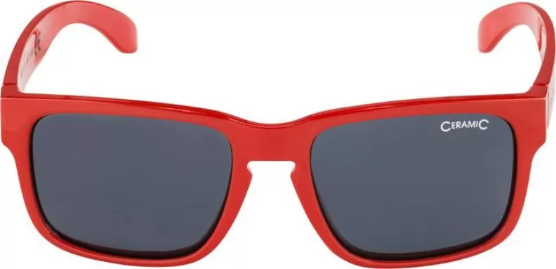 Alpina MITZO Sportbrille - red black