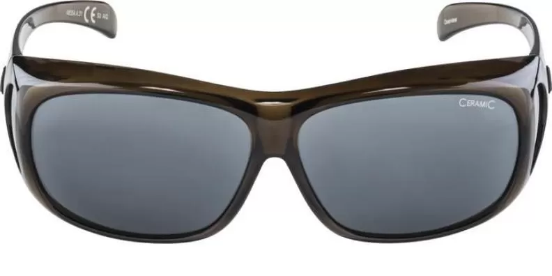 Alpina OVERVIEW Sportbrille - black transparent black
