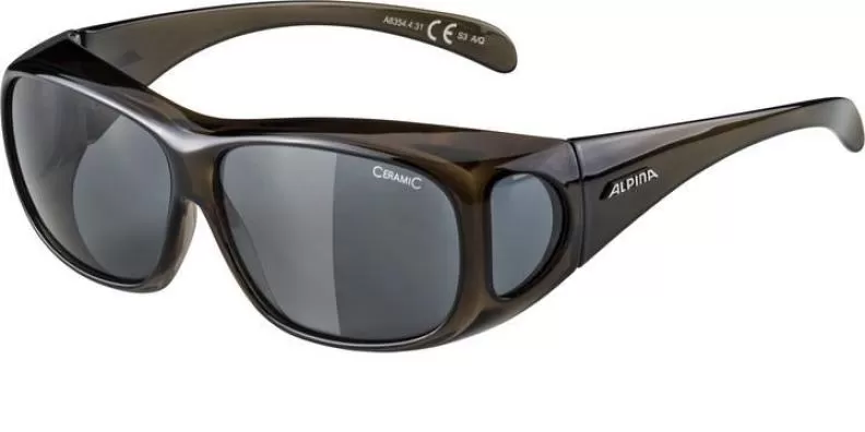 Alpina OVERVIEW Eyewear - black transparent black