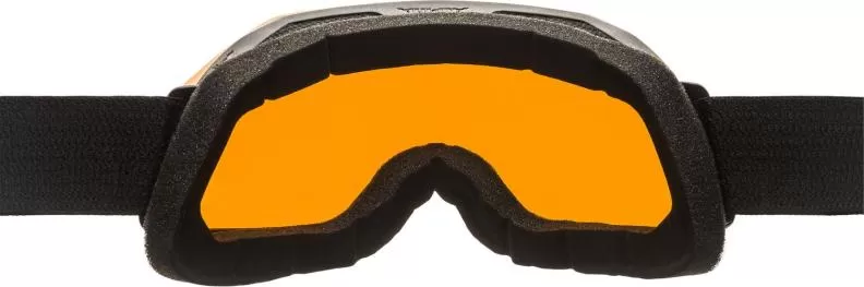 Alpina Ski Goggles Blackcomb Q - Black Matt/Blue