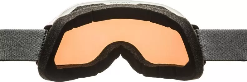Alpina Ski Goggles Blackcomb Q - Moon Grey Matt/Gold