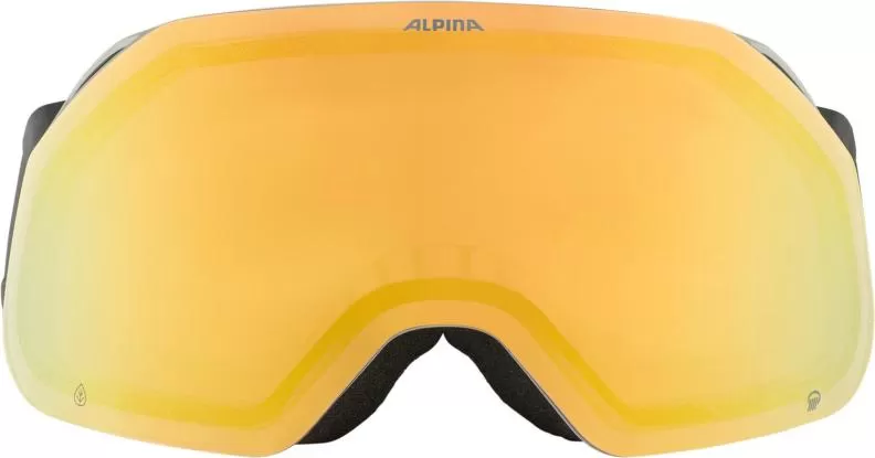 Alpina Skibrille Blackcomb Q - Moon Grey Matt/Gold