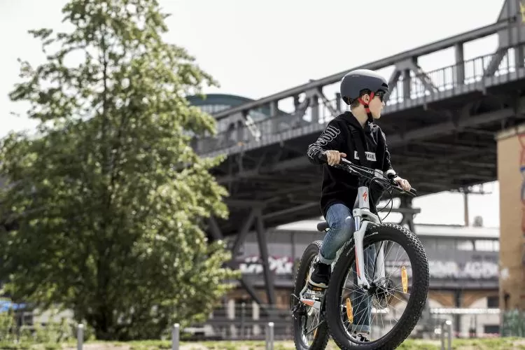 Alpina Hackney Velo Helmet - black-confetti matt