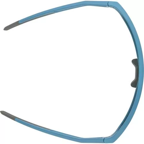 Alpina Ram Q-Lite Sonnenbrille - smoke-blue matt, gold cat. 3