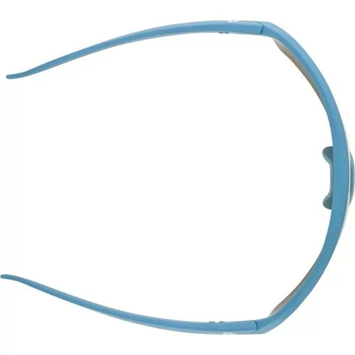 Alpina Turbo Hr Q-Lite Sonnenbrille - smoke-blue matt, gold cat. 2