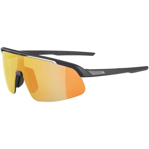 Alpina Turbo Pro Q Sonnenbrille - black