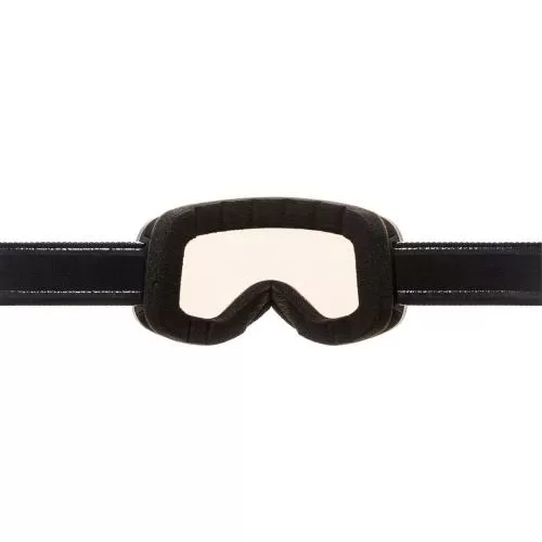 Alpina Slope Q-Lite Skibrille - black matt, green s2