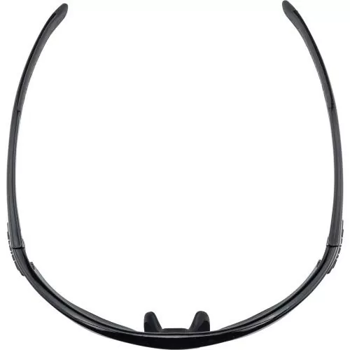 Alpina TRI-SCRAY 2.0 HR Eyewear - black black mirror/clear/orange mirror
