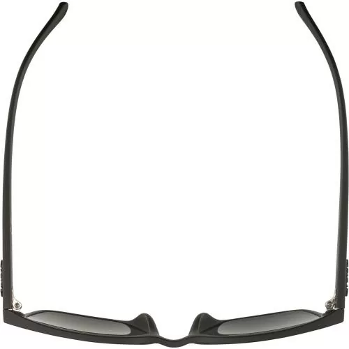 Alpina YEFE Sonnenbrillen - all black matt, black mirror