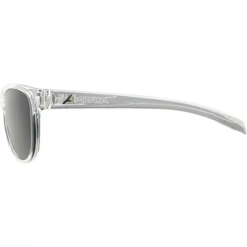 Alpina Nacan Ii Sonnenbrille - transparent, black cat. 3