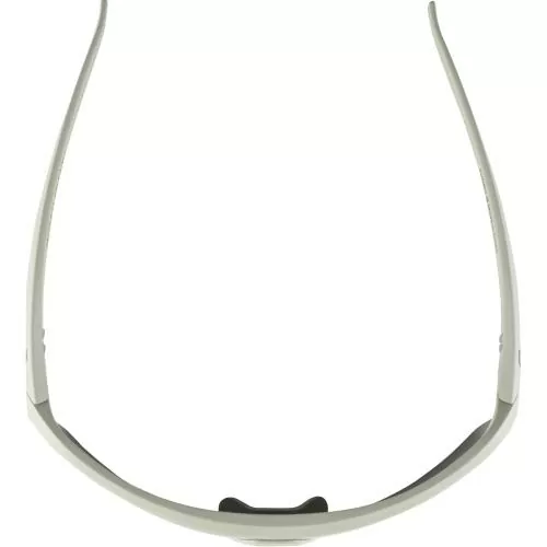 Alpina Turbo HR Sonnenbrille - Cool Grey Matt, Black Mirror