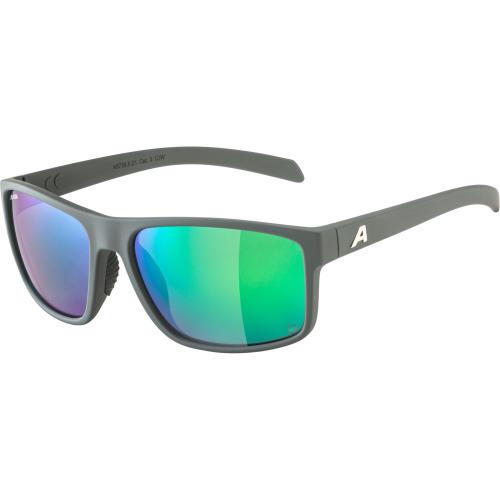 Alpina Nacan I Pol Sonnenbrille - midnight-grey matt