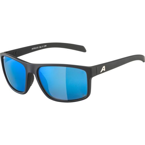 Alpina Nacan I Pol Sonnenbrille - black matt