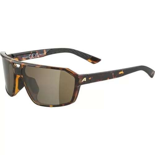 Alpina Swift Sonnenbrille - havanna, black cat. 3