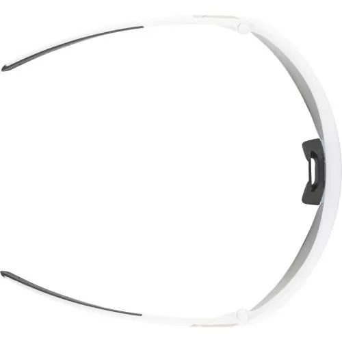 Alpina Turbo Pro Qv Sunglasses - white matt, qv rainbow cat.1-3