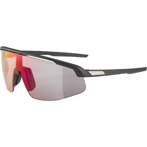 Alpina Turbo Pro Qv Sunglasses - black matt, qv rainbow cat. 1-3