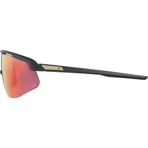 Alpina Turbo Pro Qv Sunglasses - black matt, qv rainbow cat. 1-3