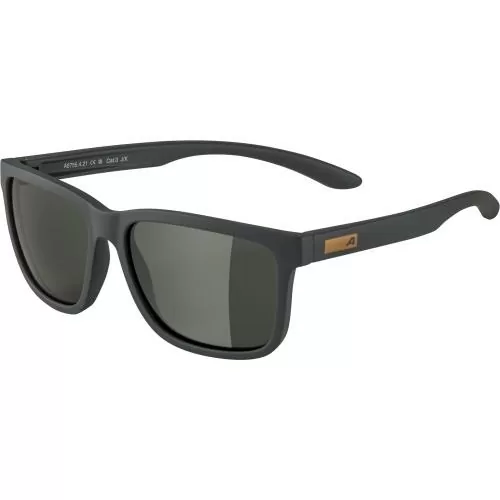 Alpina Burst Sonnenbrille - grey, green cat. 3
