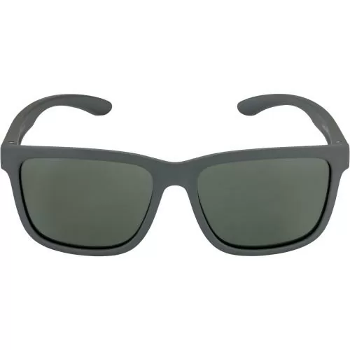 Alpina Burst Sonnenbrille - grey, green cat. 3