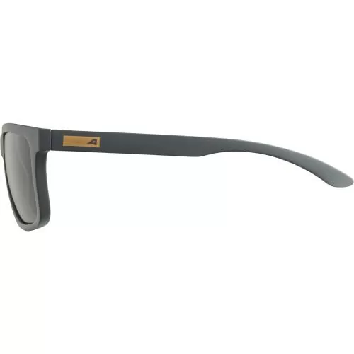Alpina Burst Sonnenbrille - grey, green cat. 3