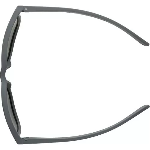 Alpina Burst Sonnenbrille - grey, green cat. 3