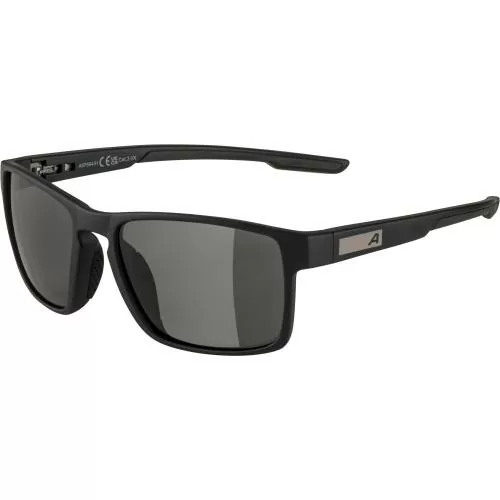 Alpina Stream Sunglasses - midnight-grey matt